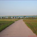 낙동강자전거길8 이미지