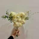 온뜰에피움 스튜디오 촬영 후기 (+황은지작가님, 가우디웨딩 드레스, 이모님)