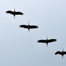 포커스 행정사 이미지