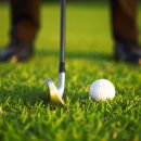 아라골프클럽 이미지