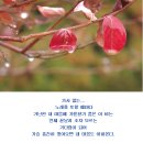 마음에향기 이미지