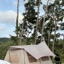 솔향기길야영장 이미지