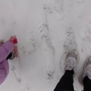 효원목장 이미지