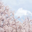 서울더봄치과의원 이미지