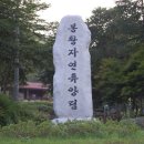 봉황자연휴양림 이미지