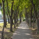 화랑유원지 옆 이미지