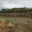 오가면010 이미지