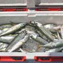 용초화장실 이미지