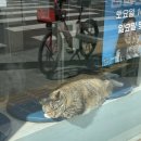 참길이비인후과의원 네이버블로그