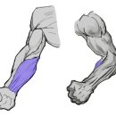 에브리데이 PT 이미지