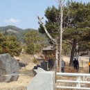 만세로정비 이미지