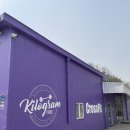 킬로그램트라이브 이미지