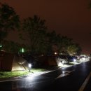 봄나들이 이미지