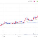 [세경하이테크(148150.KQ)] 폴더블 디스플레이 소재 독점 업체의 매력 이미지