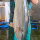 오가네식품 이미지