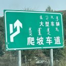 세아여행사 - 창원시 성산구 가음로 100 | 낙타 보러 내몽골 가기