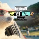 (주)메가투어 이미지
