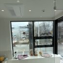 해밀동물의료센터 이미지