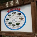선몽대