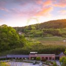 카페누비 이미지