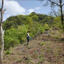 춘옥이네 이미지