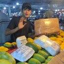 (주)아워홈(한국시그네틱스) | 제12장 떠나자 한국을!