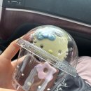 제주시 오라동 카페 귀여운 키티마들렌이 있는 조용한 카페 맨션다미