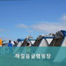 해걸음글램핑장 이미지