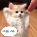 붙이다니 이미지