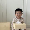 각티슈 뭐 쓰세요? 비염·환절기 필수템 브라운라이프 로션티슈 후기 (빨간코안심티슈)