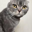 접정축산 이미지