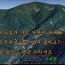 석심 Daum카페