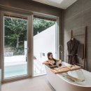 시기공추 이미지