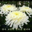 동서천장례식장