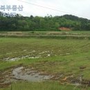 삼도동 주민센터 이미지