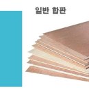 우진우드