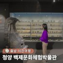 신화이용원 | 충청도 가볼만한곳 충남 실내 여행 청양 백제문화체험박물관 (+) 주차팁