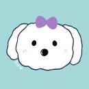 멍멍! 우리 혁이 최고야 🐶🤍 이미지