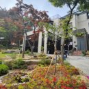 사이숲 안양예술공원점 네이버블로그