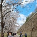 양지사거리체육공원 이미지