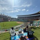 그린존 | 너무더워 랜더스필드 몰리스 그린존 후기