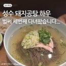 뚝섬 | 돼지공탕 하우, 벌써 3번째 방문. 이번엔 냉면도 먹어보고 왔어요! 성수동 국밥 맛집 찐찐후기~!