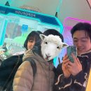 딩동댕노래연습장 이미지