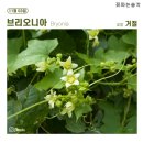 (주)선이루핀 네이버블로그