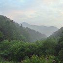 야동제 네이버블로그