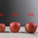 이미자농장 이미지