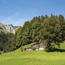 동일부동산중개법인주식회사 이미지