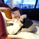 또또셀프세차장 이미지