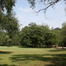 강원도해장국 이미지