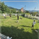 고양이천국 이미지